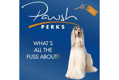 Blog - New Kid on the Block - Pawsh Perks 