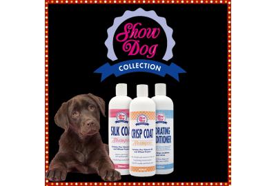 Is your Show Dog Ready for Crufts?