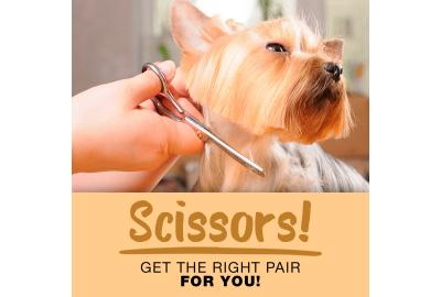 Scissors - How To Choose the Right Pair for You!