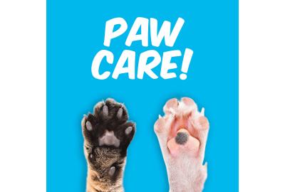 Paw Care