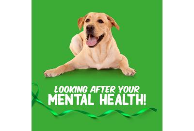Be Mindful of Your Mental Health