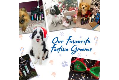 Our Favourite Festive Grooms 2020