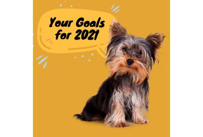 Your Goals for 2021