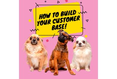 How to Grow Your Dog Grooming Business and Reach New Customers