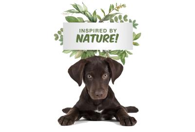 Inspired by Nature