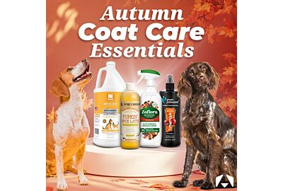 Autumn Coat Care for Dogs: Seasonal Scents & Shampoos