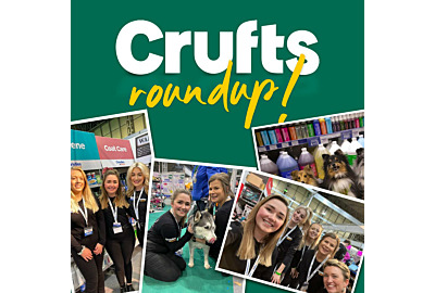 Crufts 2022 Round up 