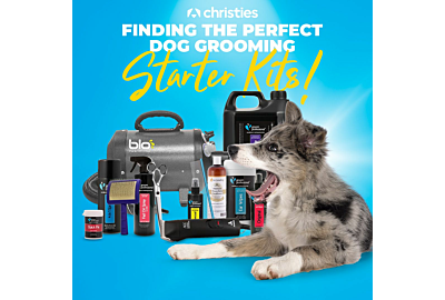 Finding the Perfect Dog Grooming Starter Kit