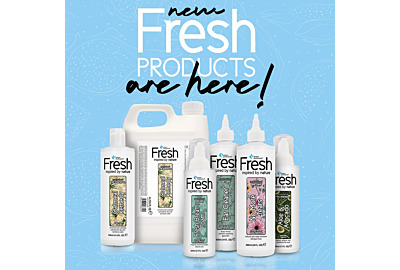 Why all dog groomers should use Groom Professional Fresh