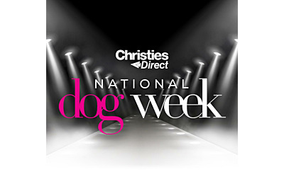 National Dog Week - The Ultimate Coat Care Guide