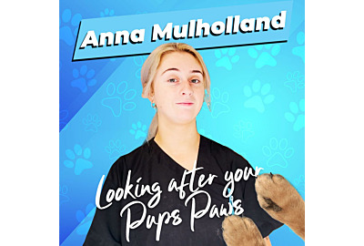 Anna Mulholland: Looking after your pups paws