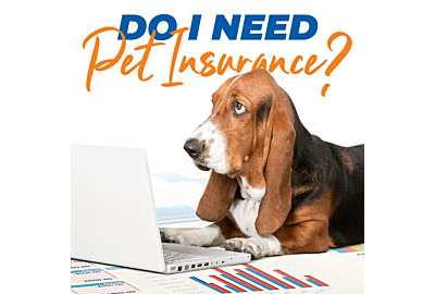 Do I Need Pet Insurance?