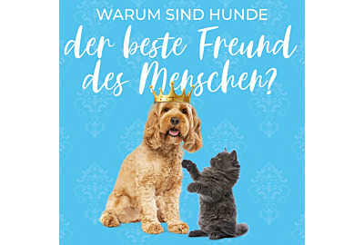 Warum sind Hunde der beste Freund des Menschen?
