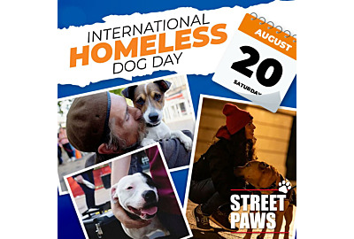 International Homeless Dog Day 