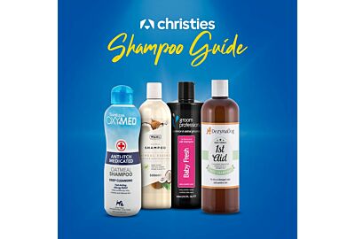 Dog Grooming Shampoo Guide