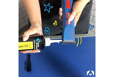 Sharper Cuts, Flawless Grooming: Your Guide to Clip and Blade Care 