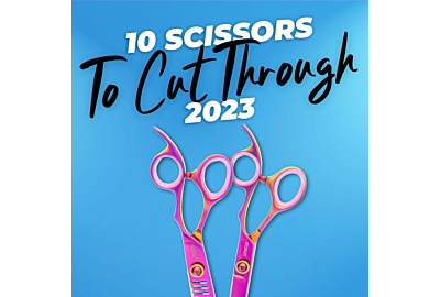 10 Best Dog Grooming Scissors to Cut Through 2023
