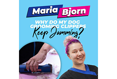 Why Do My Dog Grooming Clippers Keep Jamming?