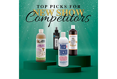 Top Picks for New Dog Show Competitors