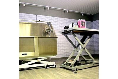 Choosing the Right Grooming Table & Bath for Your Salon: A Guide to Getting It Right the First Time 