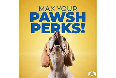 Unlock More Value: How to Maximise Your Pawsh Perks at Christies 