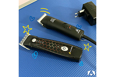 Corded vs. Cordless Dog Clippers: Choosing the Best Grooming Tool for Your Furry Friend
