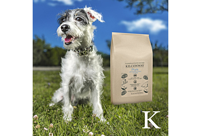 Is Dry Dog Food Healthier?