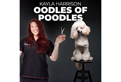 Why Poodles Are The Best Dogs Ever