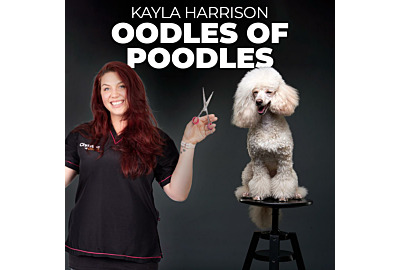 Why Poodles Are The Best Dogs Ever