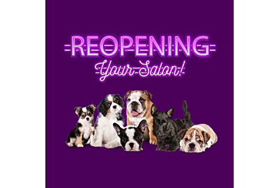 Re-Opening Your Grooming Business After Lockdown