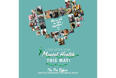 The Pet Effect - How Pets can Improve your Mental Health.