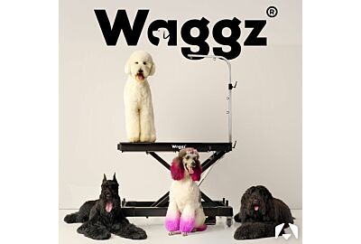 Why Waggz? A Guide to the Newest Grooming Tables at Christies