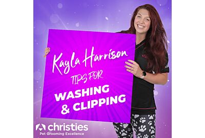 Kayla's Tips for Washing & Clipping