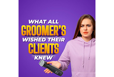 What all dog groomers wished their clients knew