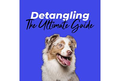 The Ultimate Guide to Knot-Free Canine Coats: How to Detangle Your Dog’s Fur at Home