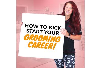 Dog grooming career