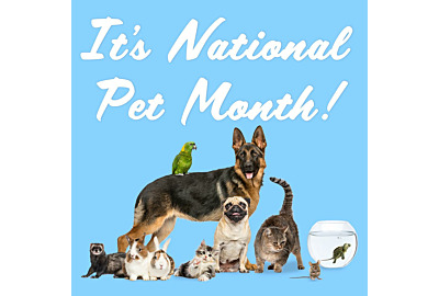 For the love of pets. What is National Pet Month? 