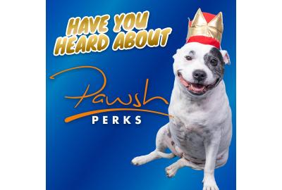Pawsh Perks