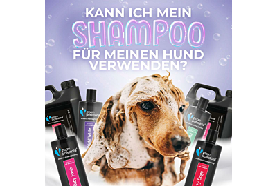 Kann ich mein Shampoo für meinen Hund verwenden?