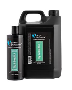 Big-26BeautifulVolumisingShampoo-6343-01-jpg