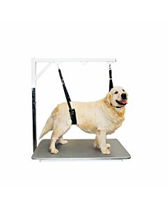 ComfortBellyStrap-4493-01-jpg