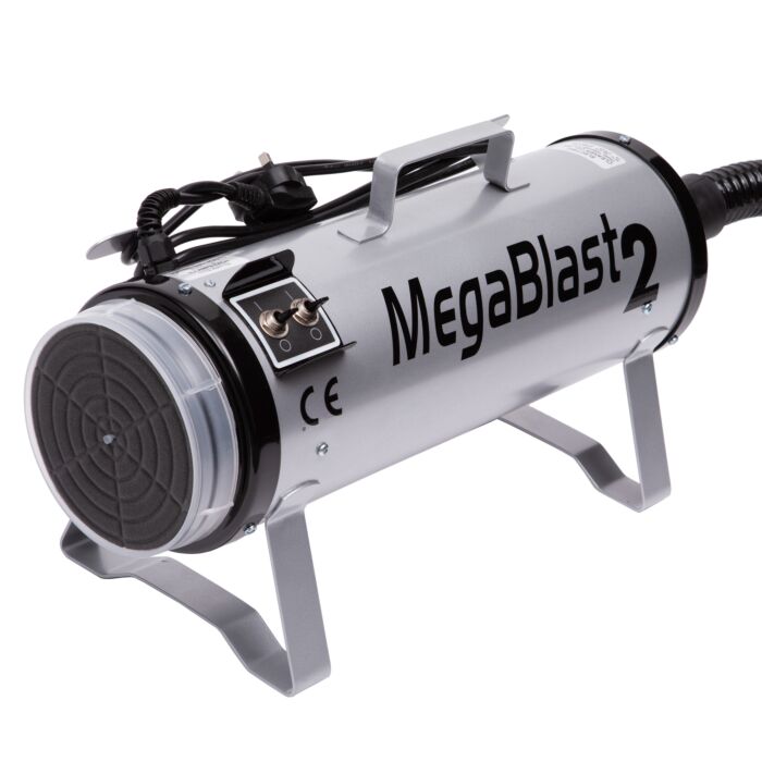 MegaBlast2PowerBlasterSliver-1233-01-jpg