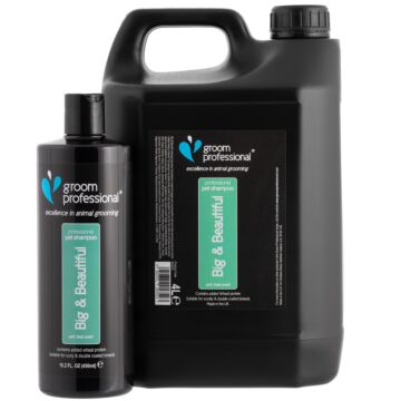 Big-26BeautifulVolumisingShampoo-6343-01-jpg