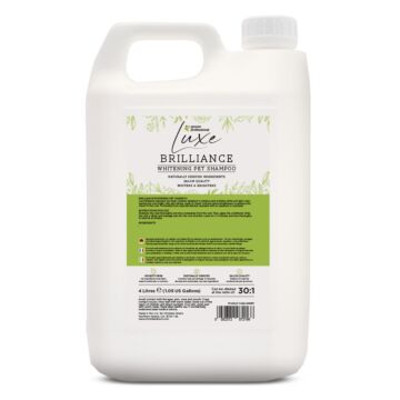Groom Professional Luxe Brilliance Whitening Shampoo