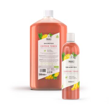 CopperTonesShampoo-884-01-jpg