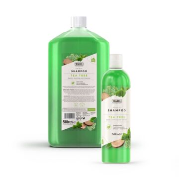 TeaTreeShampoos-2199-01-jpg