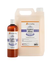 SculptureRinse-3093-01-jpg