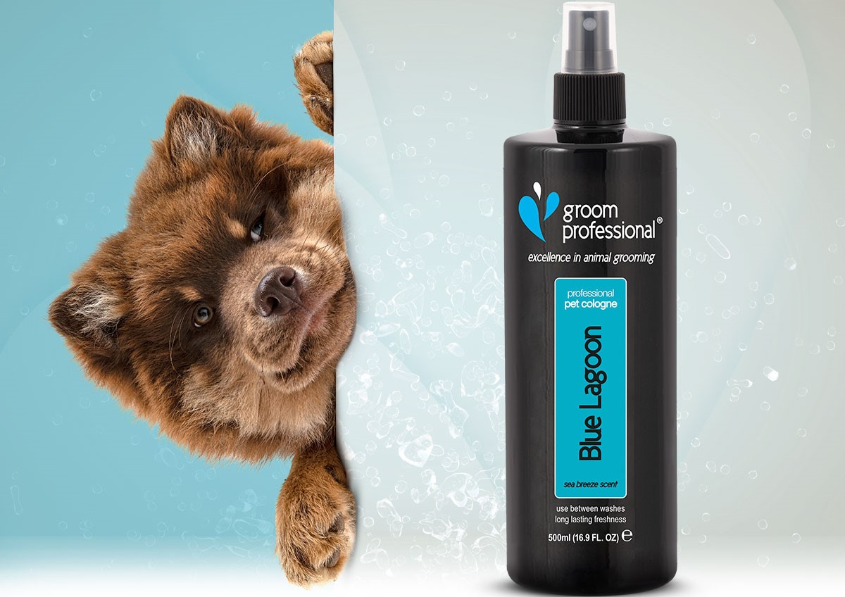 Groom Professional Blue Lagoon 500ml Cologne with a Puppy