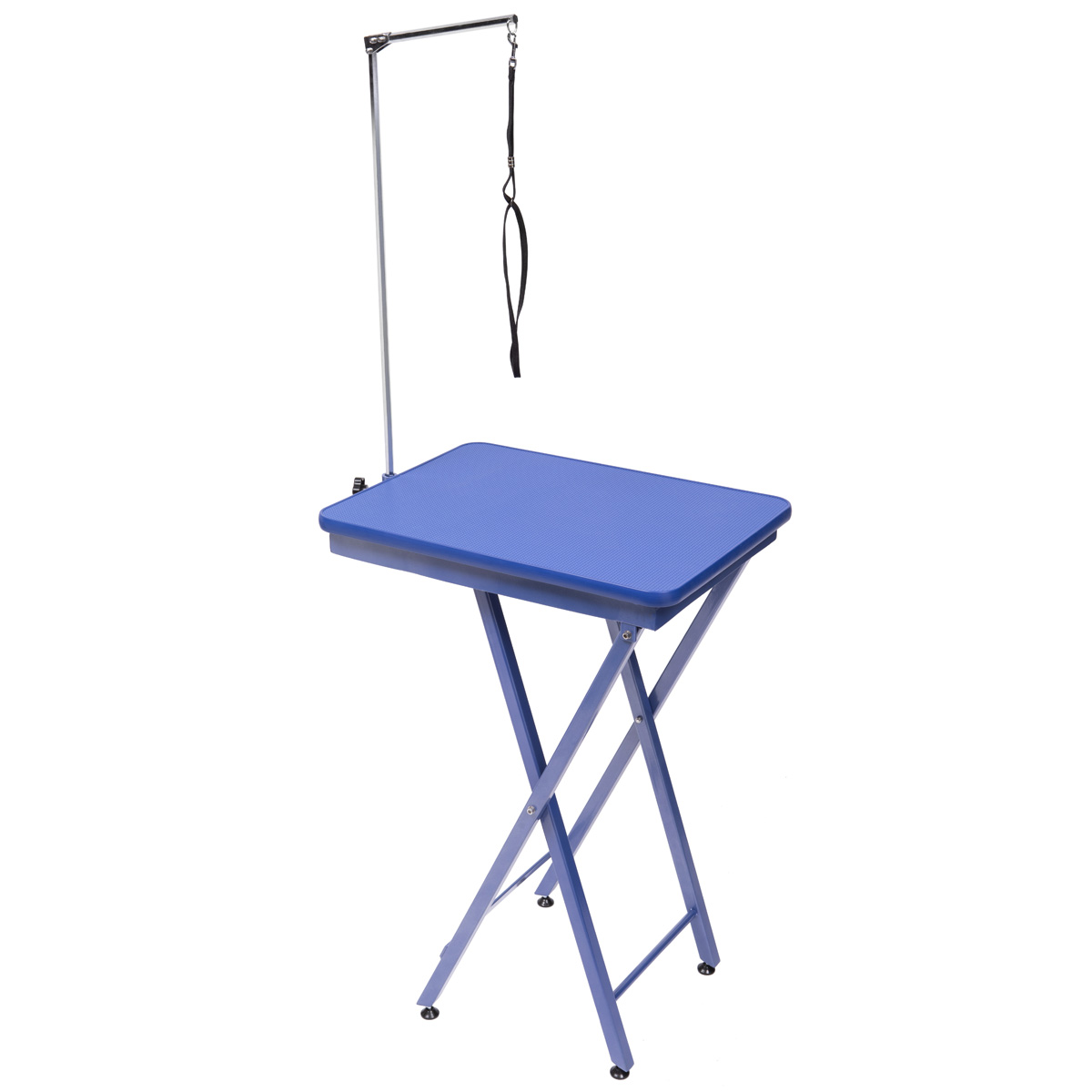 Groom Professional Ring Side Portable Dog Grooming Table