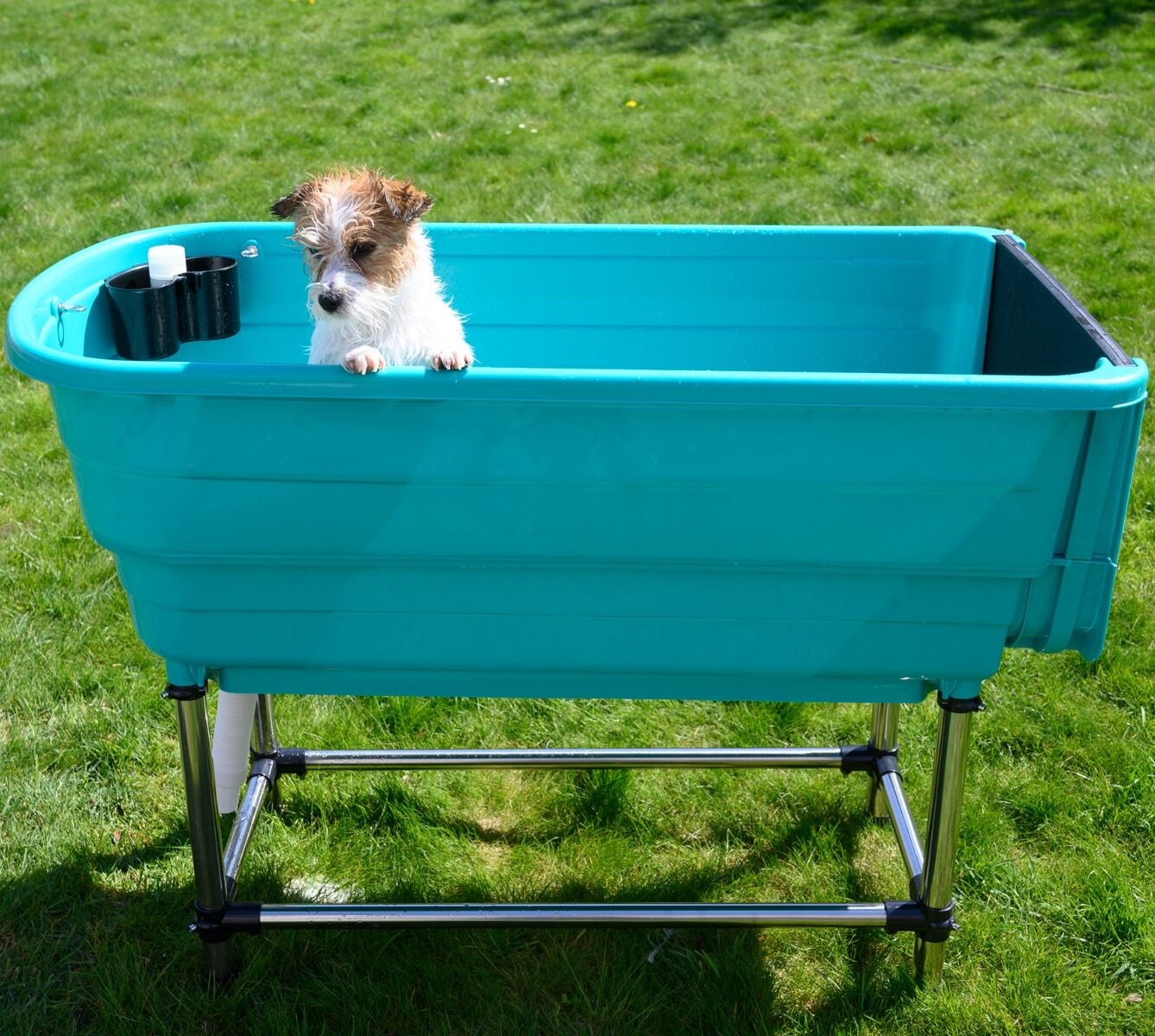 Groom Professional Bathing Station